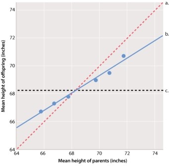 <strong>Which line on the graph below demonstrates Galton's concept of regression toward the mean? </strong> A)line a B)line b C)line c