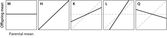<strong>In which of the complex traits shown here is variation determined almost completely by the environment? </strong> A)trait M B)trait H C)trait K D)trait L E)trait Q