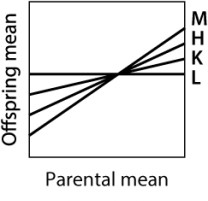 <strong>Which of the traits depicted here has the SMALLEST heritability? </strong> A)trait M B)trait H C)trait K D)trait L