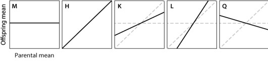 <strong>Which of the traits depicted here illustrates regression toward the mean? </strong> A)trait M B)trait H C)trait K D)trait L E)trait Q