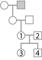 <strong>The pedigree shown here pertains to a trait due to a rare, X-linked recessive mutation. Individual 1 has an affected grandfather, but the genotypes and phenotypes of individuals 1-4 are unknown. What is the probability that individual 1 is heterozygous? What is the probability that individual 3 is heterozygous? What is the probability that individual 4 is affected?</strong> A)1; 1/4; 1/4 B)1; 1/2; 1/2 C)1/2; 1/4; 1/2 D)1/2; 1/2; 1/2 E)1/2; 1/4; 1/4