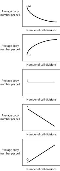 <strong>In bacteria, many transposable elements are able to regulate their own transposition in such a way that the probability of transposition decreases as the number of copies of the transposon in a cell increases. If a transposon invades a bacterial cell that does not currently have any transposons, and then increases in copy number as the cell divides, what curve below would BEST depict the increase in copy number of such a self-regulating transposon? </strong> A)curve M B)curve H C)curve K D)curve L E)curve Q