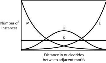 <strong>Consider a stretch of DNA with two short sequence motifs separated by an unknown number of base pairs. Each position in the intervening DNA is equally likely to be any of the four nucleotides. Would you expect many sites to be close together and a few farther apart? Few to be close together and many farther apart? Equal spacing? A normal distribution of distances between sites? In other words, which of the following curves do you think BEST approximates the distribution of the number of nucleotide pairs between two occurrences of a short sequence motif? </strong> A)Curve M B)Curve H C)Curve K D)Curve L