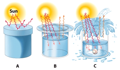 <strong>In the illustration below,which of the three models depicts an open system? </strong> A)Model A B)Model B C)Model C
