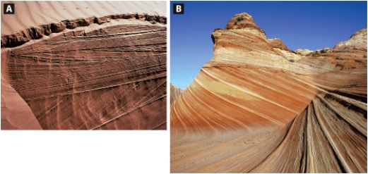 <strong>In the two photographs below,A shows structures within a modern sand dune that are identical to the structures in the sandstone shown in B.Geologists interpret the structures in the ancient sandstone to be formed by the same processes as those that produced the structures in the modern sand dune.A geologist's ability to interpret these structures by comparing them to modern processes is an example of--------------------. </strong> A)paleontology. B)the nebular hypothesis. C)uniformitarianism. D)a systems approach.