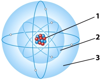 <strong>In the illustration below,the part of the atom in which virtually all the mass is concentrated is referred to as the: </strong> A)first electron energy level. B)second electron energy level. C)Both A and B are correct. D)nucleus.