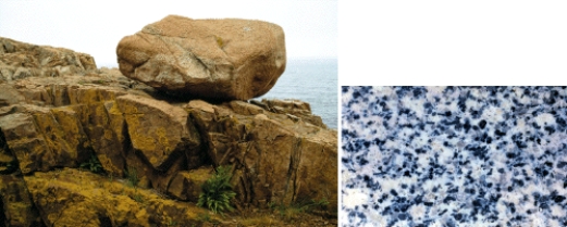 The photographs below show an outcrop and close up view of a particular kind of rock.What type of rock is it,and what holds this type of rock together? Also,explain how such a rock might form.