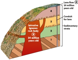 <strong>Based on the block diagram below,the igneous intrusion labeled B is younger than Unit 2.What stratigraphic principle allowed you to determine this observation? </strong> A)principle of superposition B)principle of faunal succession C)principle of original horizontality D)principle of cross-cutting relationships