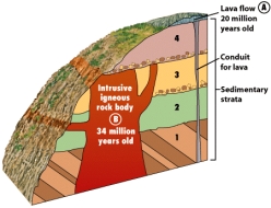 <strong>In the block diagram below,the contacts between layers in the tilted stratigraphic sequence labeled 1,are examples of </strong> A)disconformities. B)nonconformities. C)angular unconformities. D)conformable depositional contacts.