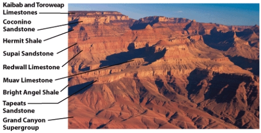 In the stratigraphic sequence of the Grand Canyon shown below,the Tapeats Sandstone is the oldest rock unit.