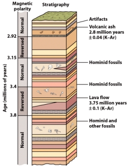 A sedimentary unit with hominid fossils is discovered in area of East Africa near the location of the stratigraphic sequence depicted in the figure below.These fossil-bearing gravels are inter-layered with sediments with a strong magnetic signal.If the magnetic polarity of the sediments is reversed then the age of the sediment is younger than _____ million years.