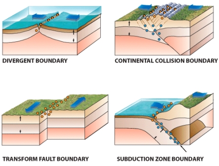 <strong>According to the figure below,in which of the following types of plate boundaries new seafloor is being produced? </strong> A)transform fault boundary B)divergent boundary C)continental collision boundary D)subduction zone boundary E)all the same