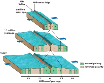 <strong>In the figure below,how many magnetic reversals occurred between 1.5 million years and present? </strong> A)1 B)2 C)3 D)4 E)6