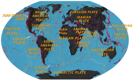 <strong>According to the diagram below,which of the following is the largest plate? </strong> A)Pacific B)Cocos C)Nazca D)South American E)Eurasian