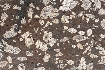 <strong>The figure below has what type of texture? </strong> A)glassy B)aphanitic C)phaneritic D)porphyritic E)none of the above