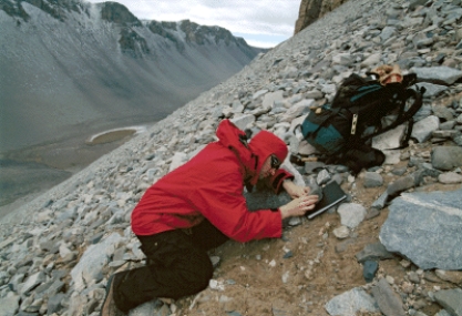 <strong>In the figure below,what type of weathering is being shown? </strong> A)oxidation B)dissolution C)root wedging D)frost wedging E)sheet jointing