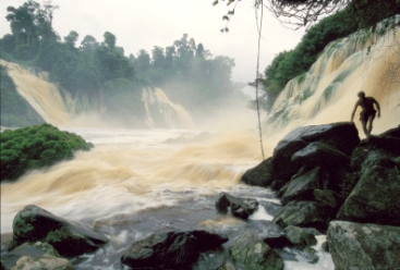 <strong>The figure below what gives the stream its muddy appearance _______. </strong> A)bedload B)suspended load C)saltated load D)floodplain E)levee