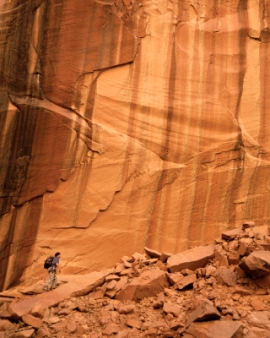 The figure below illustrates a good example of repeated rockfalls.