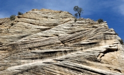 <strong>What is the sedimentary structure shown in the figure below? </strong> A)ripple marks B)mud cracks C)footprints D)cross beds E)banded iron formation
