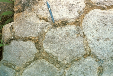 <strong>In the figure below,_____ are formed in wet and dry environments. </strong> A)ripple marks B)mud cracks C)footprints D)cross beds E)banded iron formation