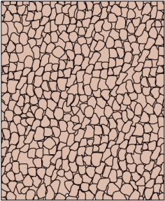The figure below shows sediment that is poorly sorted.