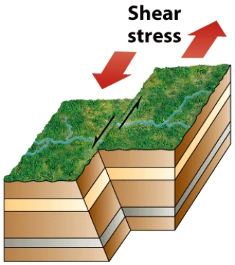 <strong>The figure below illustrates what type of fault? </strong> A)normal B)reverse C)thrust D)shear E)strike-slip