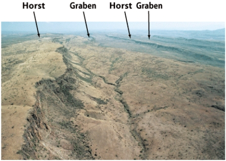 <strong>In the figure below,which part of the horst and graben structure is bound by normal faults,resulting in a down-dropping? </strong> A)horst B)graben C)fault plane D)tension plane E)none of the above
