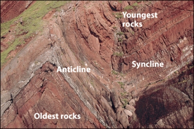 In the figure below from the Old Red Sandstone,the syncline will have the oldest rocks in the middle.