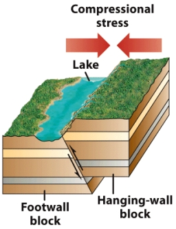 The figure below shows a(n)_____ fault.