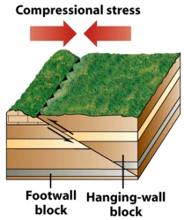 The diagram below shows a(n)_____or a(n)_____ fault.