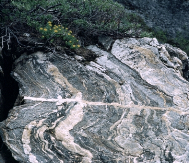 <strong>The banded rock in the figure below is known as _____. </strong> A)schist B)gneiss C)phyllite D)marble E)slate