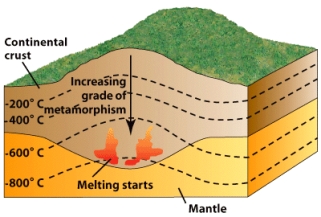 <strong>According to the figure below,_____ is the temperature at which melting starts. </strong> A)200ºC B)400ºC C)600ºC D)800ºC E)none of the above