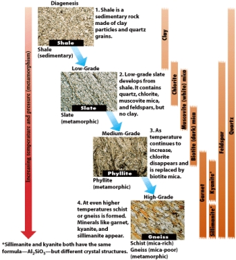 <strong>According to the figure below,which mineral is exclusive to high grade metamorphism? </strong> A)quartz B)kyanite C)sillimanite D)chlorite E)feldspar