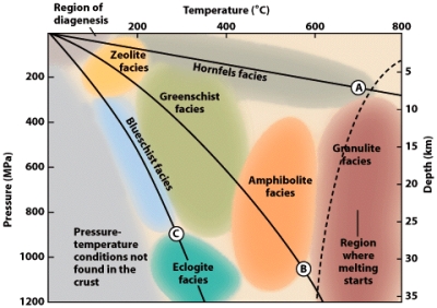 <strong>According to the figure below,what metamorphic facies occur at 700ºC and 600 MPa. </strong> A)zeolitefacies B)greenschistfacies C)blueschistfacies D)eclogitefacies E)granulitefacies