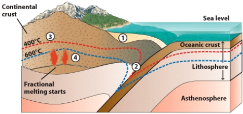 In the figure below,burial metamorphism occurs at #4.