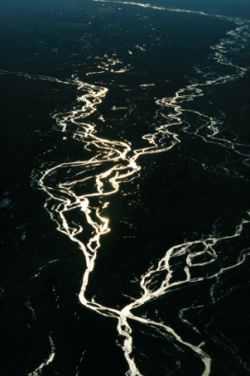 <strong>In the figure below,the _____ stream is common in areas of glaciers. </strong> A)meandering B)braided C)anastomosing D)straight E)oxbow lake