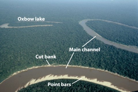 <strong>The figure below illustrates a _____ stream,which has a low-gradient and sand bars along the banks. </strong> A)meandering B)braided C)anastomosing D)straight E)oxbow lake