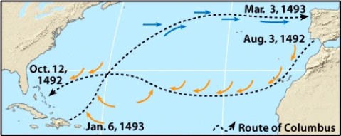 <strong>Christopher Columbus sailed west to America on which of the illustrated surface ocean currents? </strong> A)Northeast Trades B)Horse Latitudes C)Prevailing Westerlies D)Polar Lows E)Doldrums