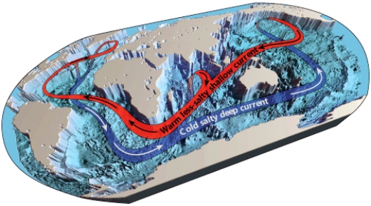 <strong>The surface ocean current in the figure below,that flows northward into the Atlantic Ocean and east across the Carolina coast,is called the _____: </strong> A)Antarctic Bottom Water B)Coriolis Effect C)North Atlantic Deep Water D)Gulf Stream E)Northeast Trades