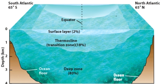 In the ocean zones in the figure,cold,fresh water sinks below warm,salty water in the oceans.