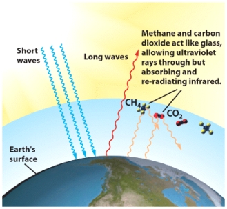 The gases that cause the greenhouse effect are concentrated in the _____layer of the Earth's atmosphere.