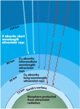 Beginning at the bottom and moving upward,the four layers of the atmosphere as shown are the _____,stratosphere,mesosphere,and thermosphere.