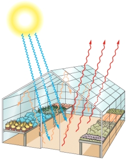 What is the greenhouse effect?