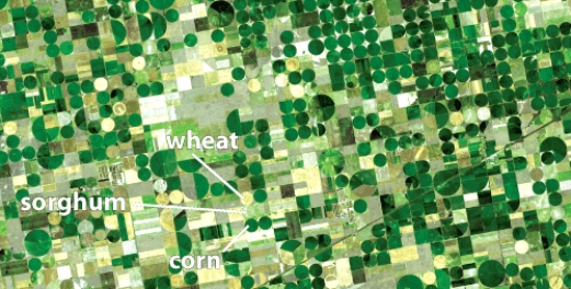 <strong>Irrigation in the Great Plains,as shown in the figure below,helps prevent desertification,but it also leads to _____. </strong> A)continental deserts B)wetlands C)loss of topsoil D)depletionof aquifers