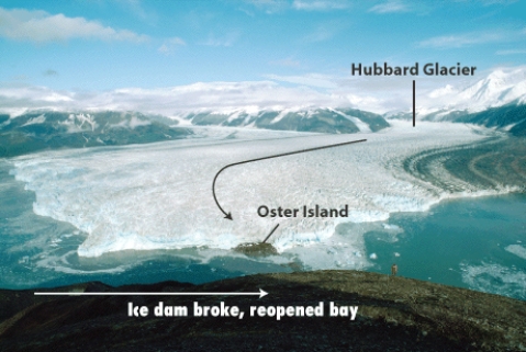 A glacier that advances rapidly,as in the photograph,is said to _____.