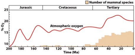 <strong>In order for mammalian life to succeed,oxygen levels as shown in the graph of at least ______ percent are required.  </strong> A)2 B)50 C)25 D)20 E)10 <div style=padding-top: 35px> 