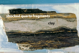 The most probable cause of the Cretaceous-Tertiary (K/T)mass extinction resulting in the effects as shown,was _____.