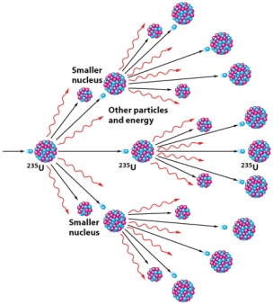 <strong>In the nuclear chain reaction of Uranium-235,illustrated below,each nucleus releases two_____. </strong> A)atoms B)electrons C)protons D)molecules E)neutrons