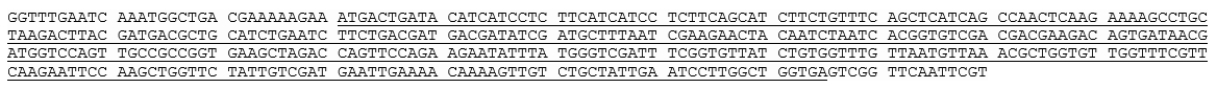 <strong>According to the sequence below (note that the DNA is written in the 5' \rightarrow 3' direction, and the gene of interest is underlined), the BEST forward primer to use for this gene is: </strong> A) 5' GGTTTGAATCAAATGGCTGA 3'. B) 5'ATGACTGATACATCATCCTC 3'. C) 3' ATGACTGATACATCATCCTC 5'. D) 5' GAGGATGATGTATCAGTCAT 3'. E) 3' GAGGATGATGTATCAGTCAT 5'.
