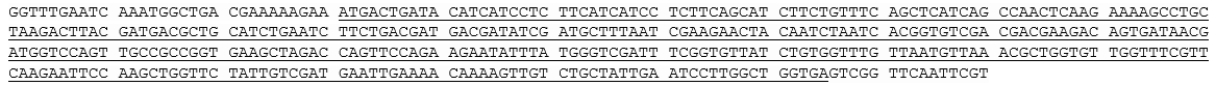 <strong>According to the sequence below (note that the DNA is written in the 5' \rightarrow 3' direction, and the gene of interest is underlined), the BEST reverse primer to use for this gene is: </strong> A) 5' ATTGAATCCTTGGCT GGTGA 3'. B) ' ATTGAATCCTTGGCT GGTGA 5'. C) 5' TCACCAGCCAAGGATTCAAT 3'. D) 3' TCACCAGCCAAGGATTCAAT 5''. E) 3' GGTGAGTCGG TTCAATTCGT 5'.